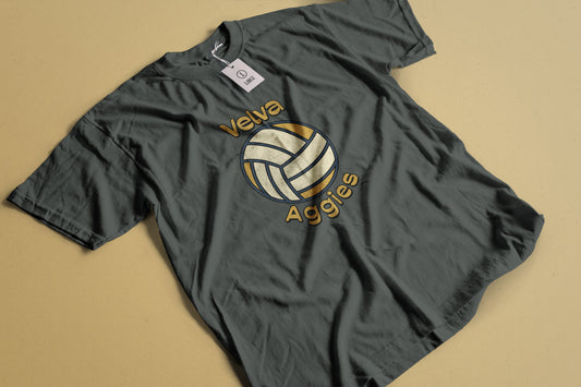 Vintage Volleyball
